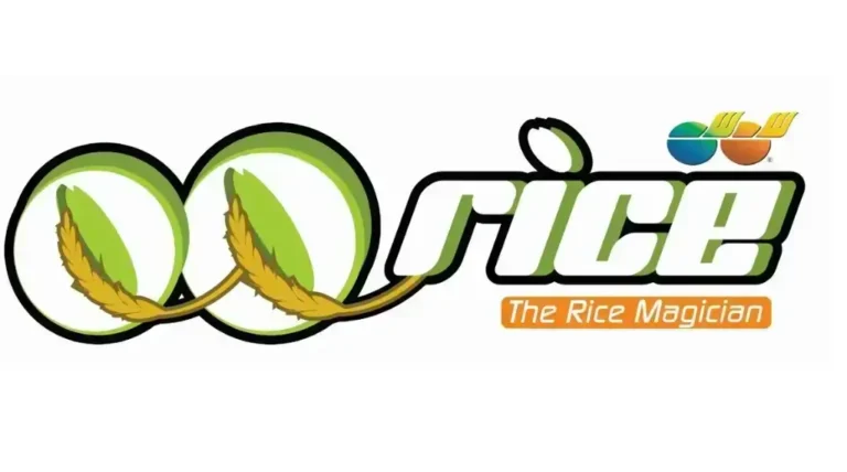 QQ Rice Singapore Menu & Price List  2024