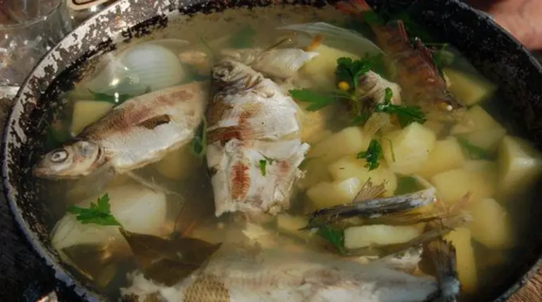 Hong Yun Fish Soup Singapore Menu & Price 2024