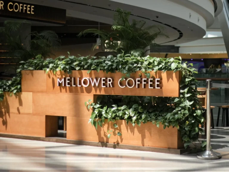 Mellower Coffee Singapore Menu & latest Price List 2024